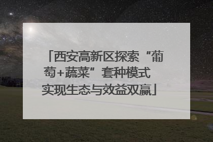 西安高新区探索“葡萄+蔬菜”套种模式 实现生态与效益双赢